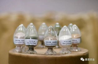 慕恩生物菌肥 领航绿色农业，共创财富未来——全国空白市场特许经销商火热招募