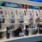 探秘中国海藻生物科技馆 生物制品的绿色未来